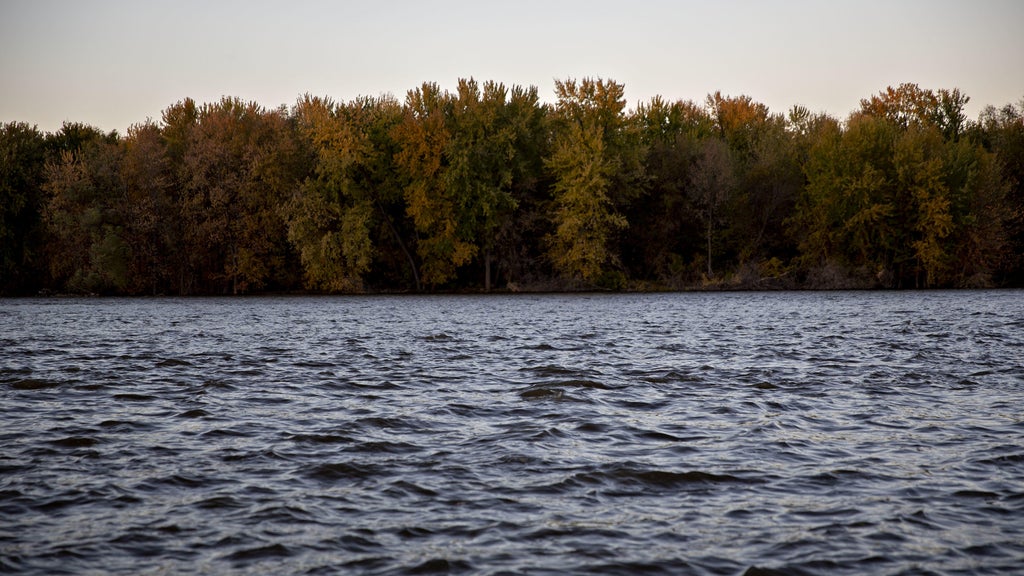 Watchdog says PFAS found in 100% of Minnesota water testing sites — WCCO / CBS Minnesota, Maplewood Health news