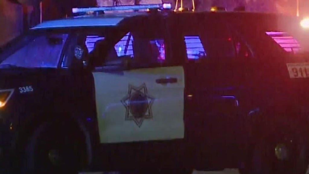 San Jose teens involved in traffic stop that preceded police shooting, attempted carjacking — CBS Bay Area (KPIX), Maplewood Schools news