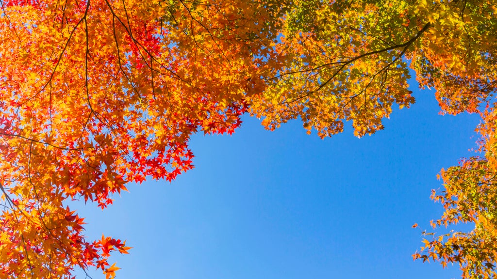 More near-record warmth Monday in Minnesota ahead of big cooldown — WCCO / CBS Minnesota, Maplewood Community news