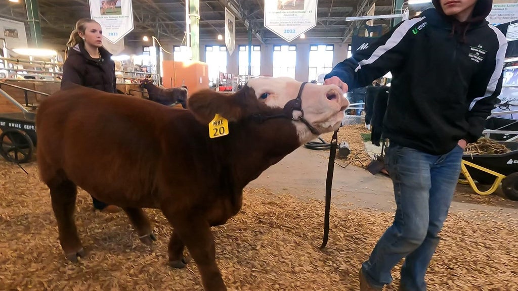 Spotlight on beef as Minnesota midterms near — WCCO / CBS Minnesota, Maplewood Community news