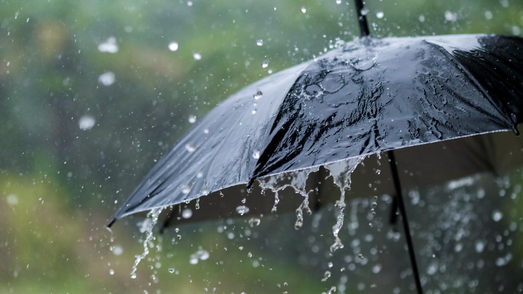 Widespread rain in Minnesota Monday; milder air returns Tuesday — WCCO / CBS Minnesota, Maplewood Community news