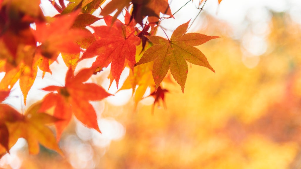 More sunny, mild late October weather in Minnesota Tuesday — WCCO / CBS Minnesota, Maplewood Business news