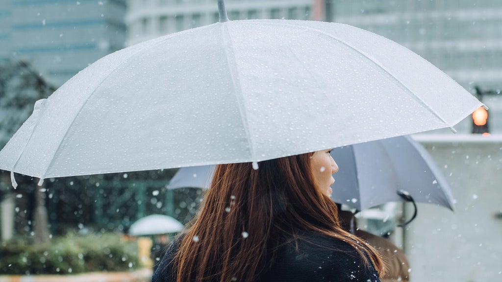 Soggy, chilly Thursday in the Twin Cities; season's first frost possible Saturday — WCCO / CBS Minnesota, Maplewood Sports news