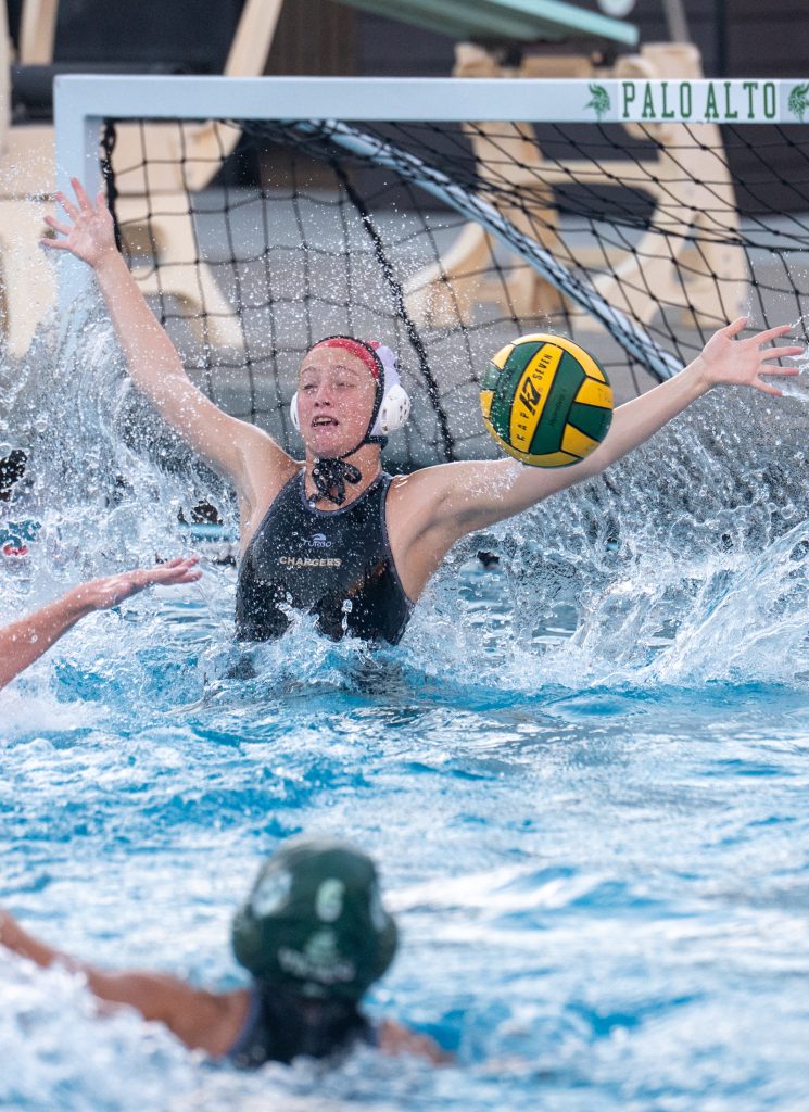 Wilcox Water Polo Caught in Vikings Rip Current — Silicon Valley Voice, Maplewood Sports news