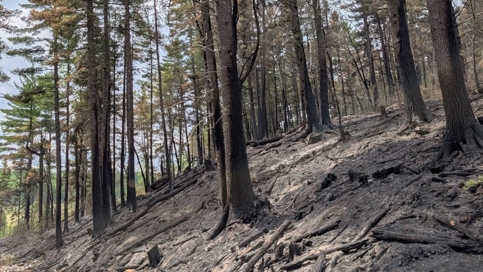 74-year-old who became separated from his family on a trail in Ely was discovered dead — KSTP 5, Maplewood Community news