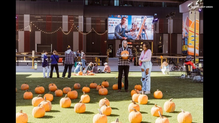 Spooky season with North Loop Green — KARE 11 Local, Maplewood Sports news