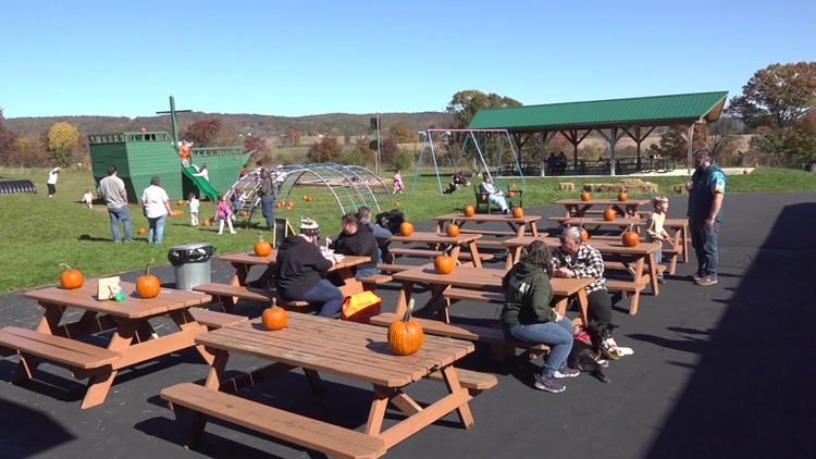 Outdoor festival in Columbia County brings together artists and businesses to connect with the community — WNEP 16 (Scranton/Wilkes-Barre), Maplewood Arts news