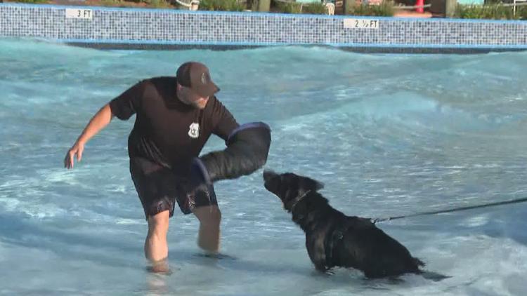 Tampa police K-9s train at theme park to prepare for emergencies — WTSP 10 Tampa Bay, Maplewood Community news