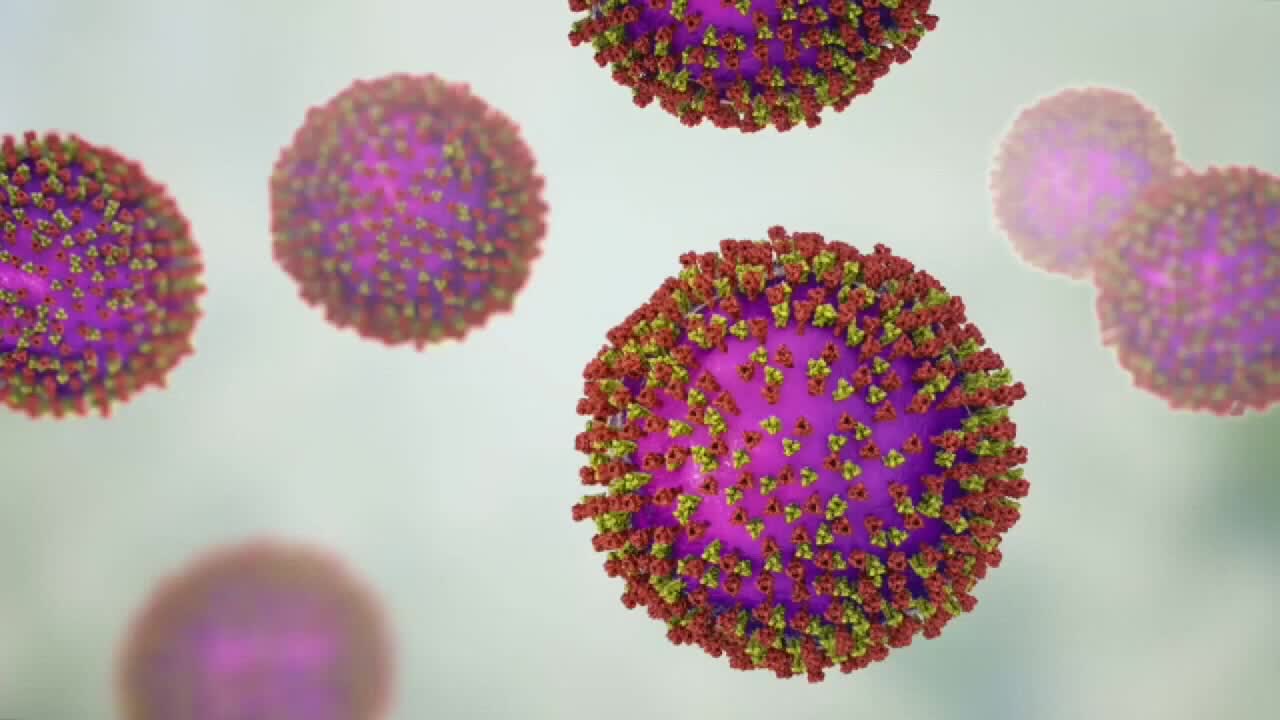 Wisconsin measles outbreak rises to 267 cases as spread continues — FOX 9, Maplewood Health news
