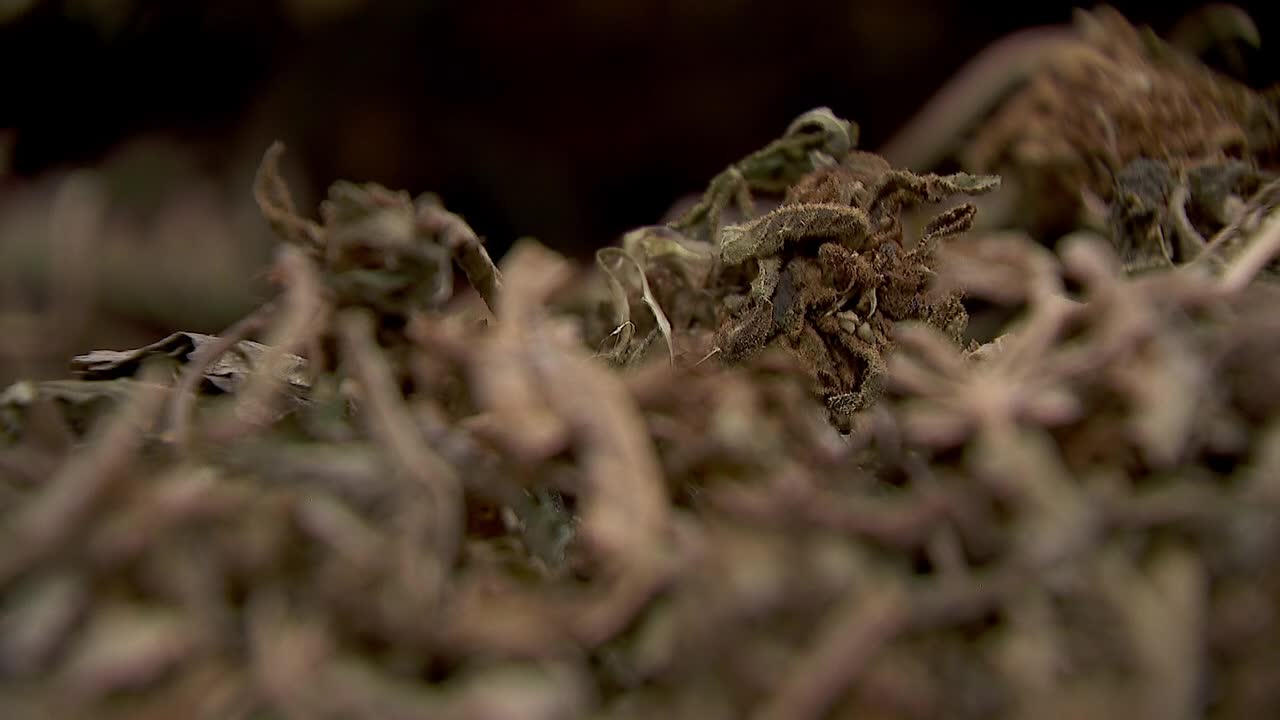 Hemp THC deadline hits $200 million industry, leads to layoffs, but liquor stores may maintain — FOX 9, Maplewood Business news