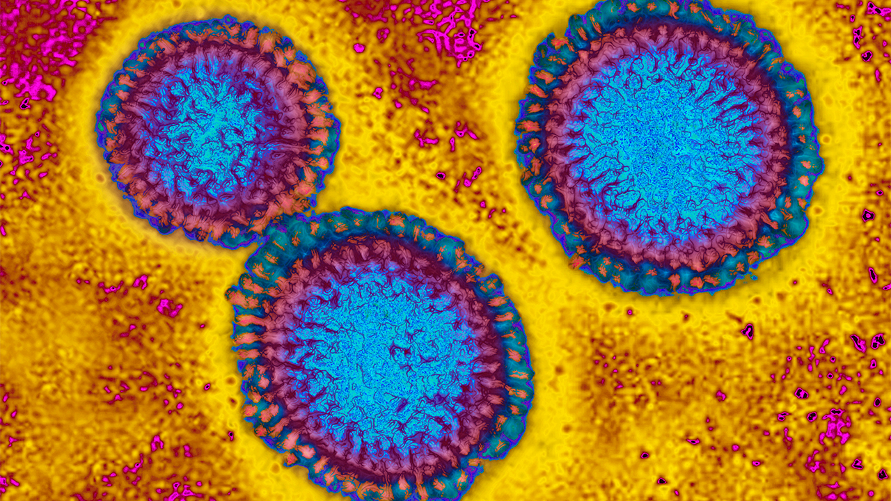 Flu hospitalizations 'slightly higher' than usual, officials urge vaccinations — FOX 9, Maplewood Health news