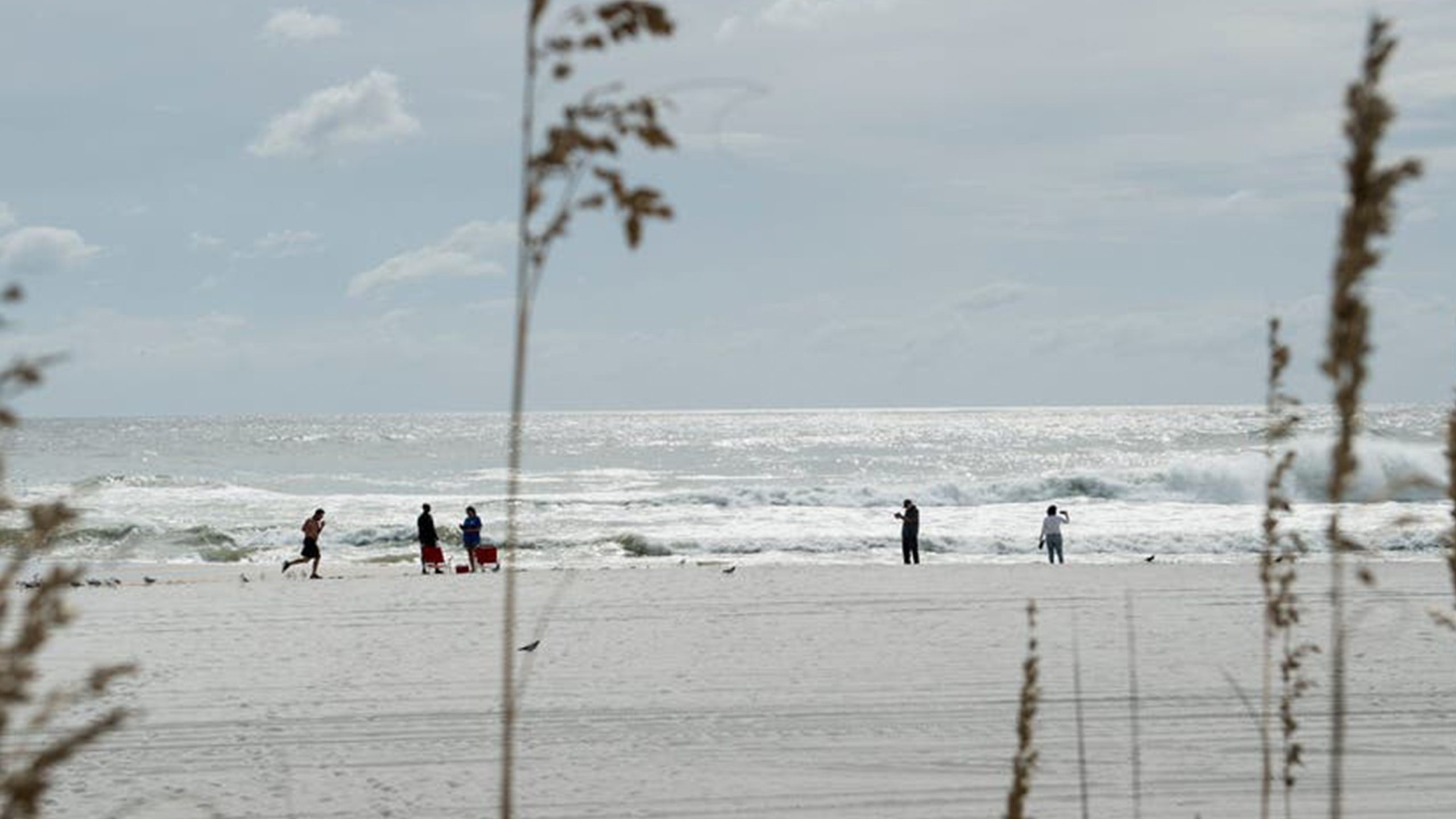 Father of 2 drowns after being caught in current trying to rescue seagull caught in fishing line — Maplewood Community news