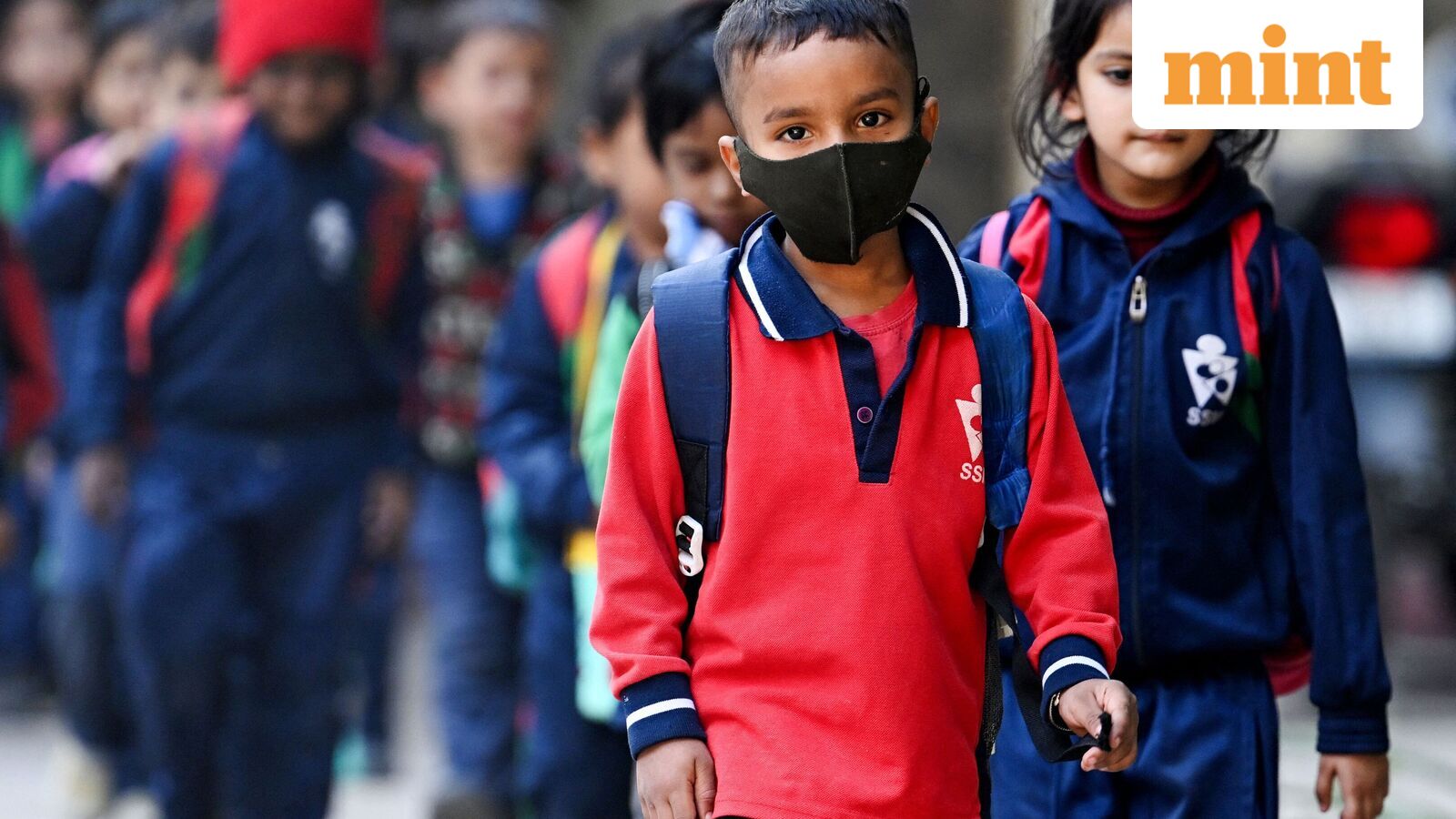 Chennai school holiday, Oct 21: Schools shut in four Tamil Nadu districts as heavy rains predicted | Check IMD alert — Mint India, Maplewood Schools news